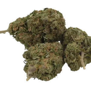 Bubble-Gum Greenhouse