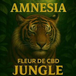 Amnesia Jungle
