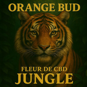Orange Bud Jungle
