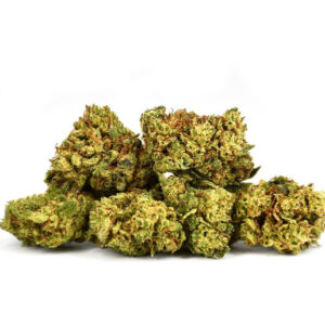 Small Bud OG Kush
