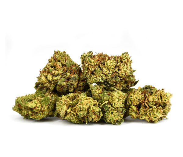 Small Bud OG Kush
