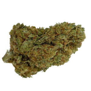 Jack Herer Glasshouse