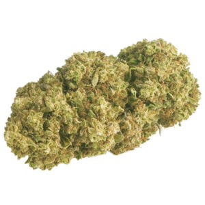 Orange Bud Glasshouse